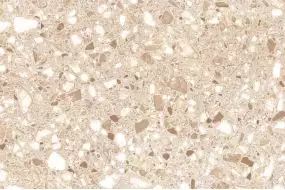 Пальмира низ 20х30