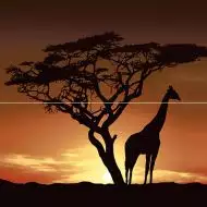 Панно Africa P2-1D210 40х40