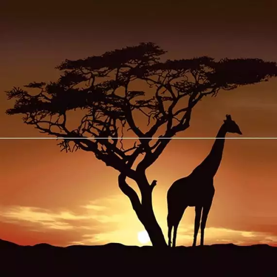 Панно Africa P2-1D210 40х40