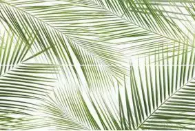 Панно Brennero Tropic (2) 50x75