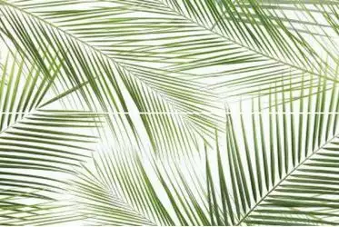Панно Brennero Tropic (2) 50x75