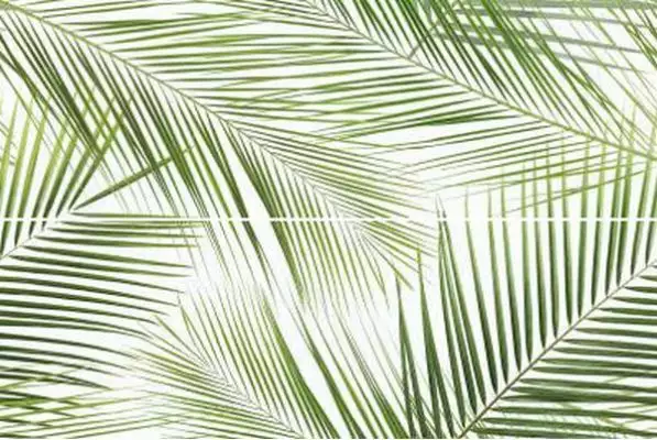 Панно Brennero Tropic (2) 50x75