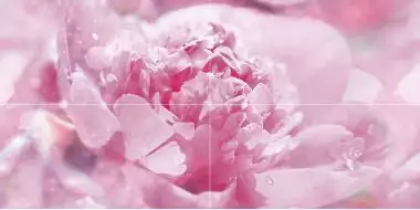 Панно Peony P4D281 80х40