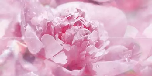 Панно Peony P4D281 80х40