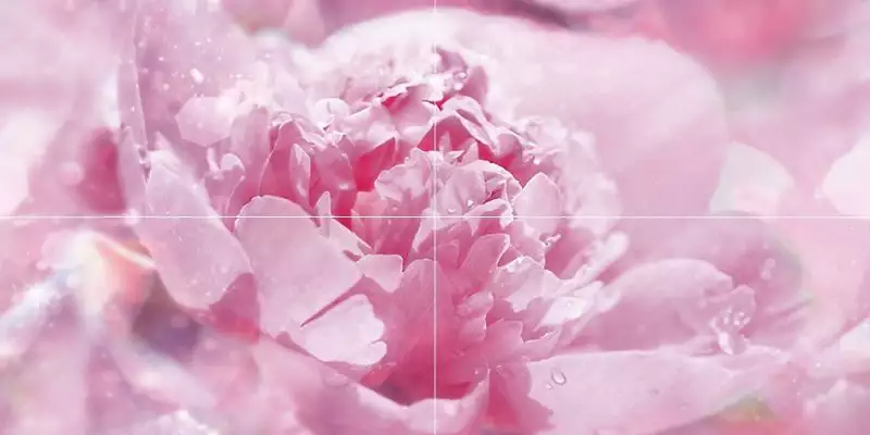 Панно Peony P4D281 80х40