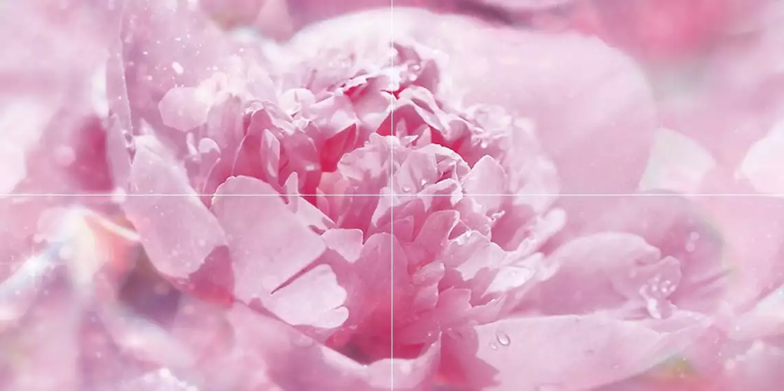 Панно Peony P4D281 80х40