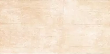 Плитка ALDEA 3 22.3х44.8