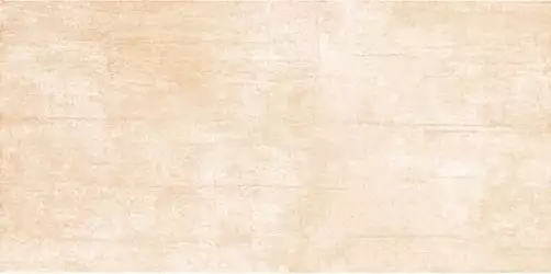 Плитка ALDEA 3 22.3х44.8