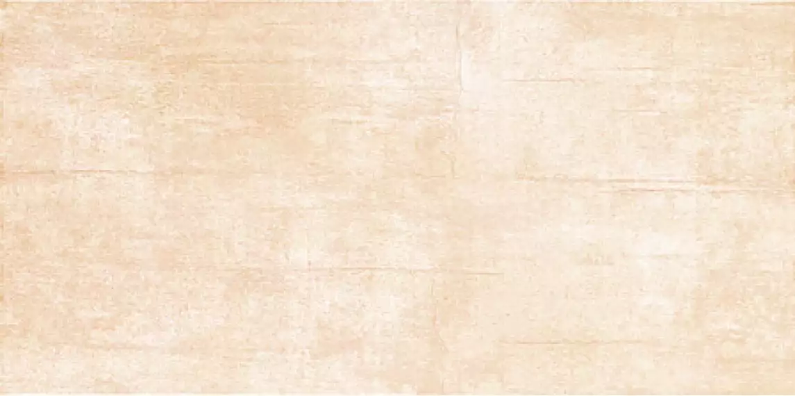 Плитка ALDEA 3 22.3х44.8