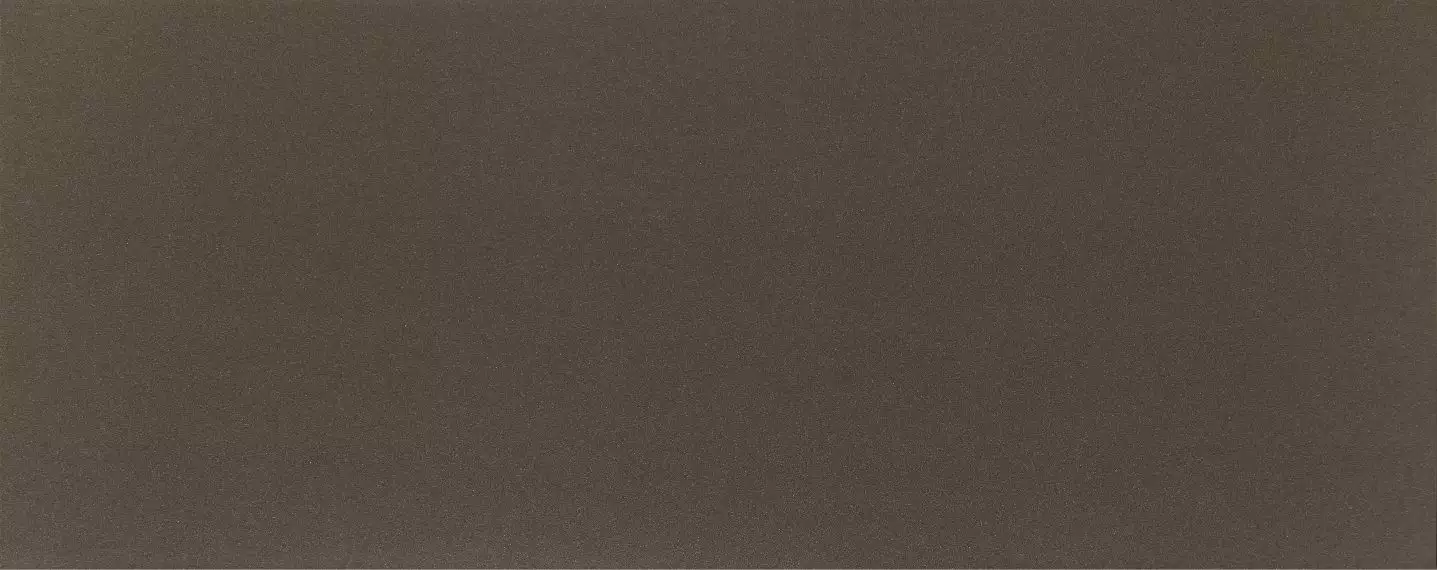 Плитка PS-01-165-0298-0748-1-001 Elementary brown 29,8x74,8