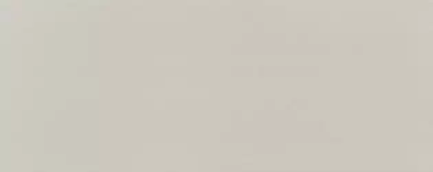 Плитка PS-01-165-0298-0748-1-010 Elementary dust 29,8x74,8