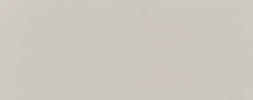 Плитка PS-01-165-0298-0748-1-010 Elementary dust 29,8x74,8
