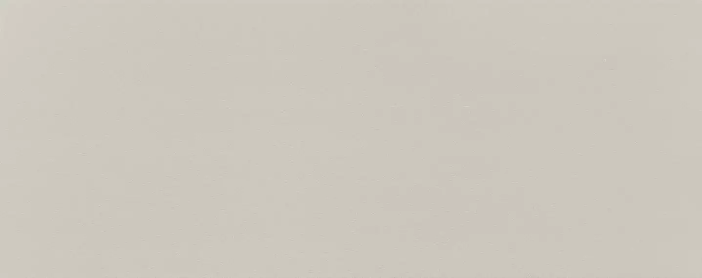 Плитка PS-01-165-0298-0748-1-010 Elementary dust 29,8x74,8