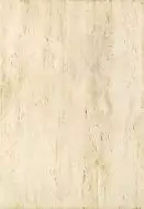 Плитка TOSCANA Bez 25x36