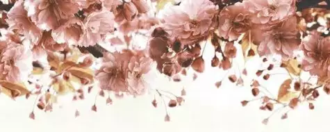 РОМАНТИКА Д тип 2 20х50