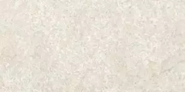 СП283 DYNASTY WHITE 20*40