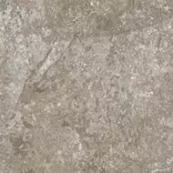СП290 DYNASTY GREY 20*20