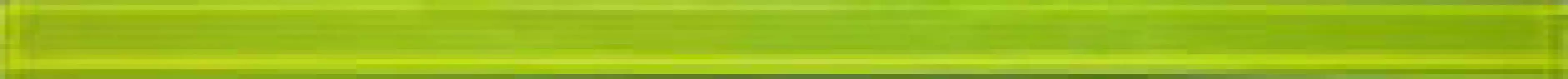 Соло 4 зеленый 600x20