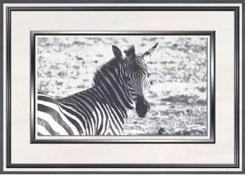 Танзания D2 25x35