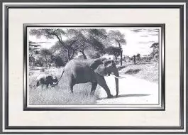 Танзания D 25x35