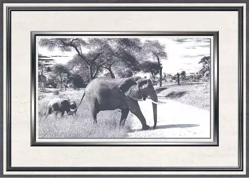 Танзания D 25x35