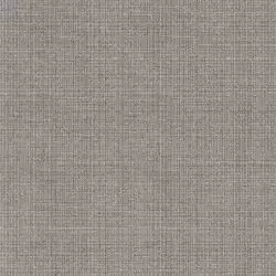 Телари 2 500х500