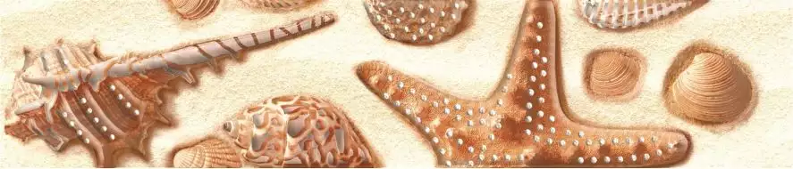 Фиджи G 7,5х35