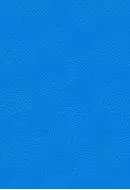 Фреско 2 голубой 40х27,5