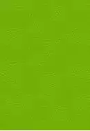 Фреско 4 зеленый 40х27,5