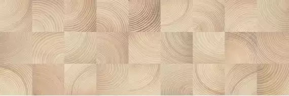 Шиен 3Д 750х250