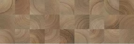 Шиен 4Д 750х250