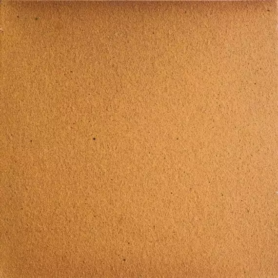 ная плитка 901001 Natural 25*25