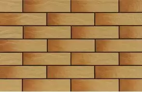 ная плитка Gobi elewacja rustiko 245x65x6,5