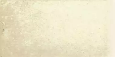 ная плитка Scandiano Beige Подоконник/парапет 20х10