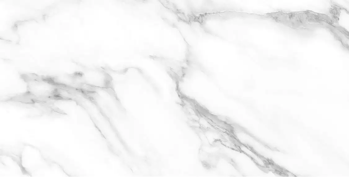 Majestic White Polished 60x120