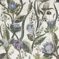 Mural PROTEA 120x120