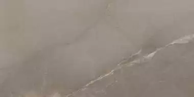 Pulpis Brown Matt 60х120