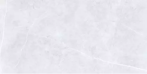 Swindon Grey Polished 60х120 