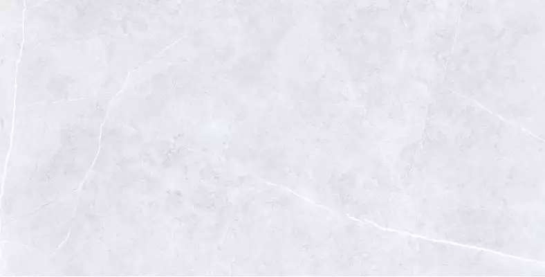 Swindon Grey Polished 60х120 