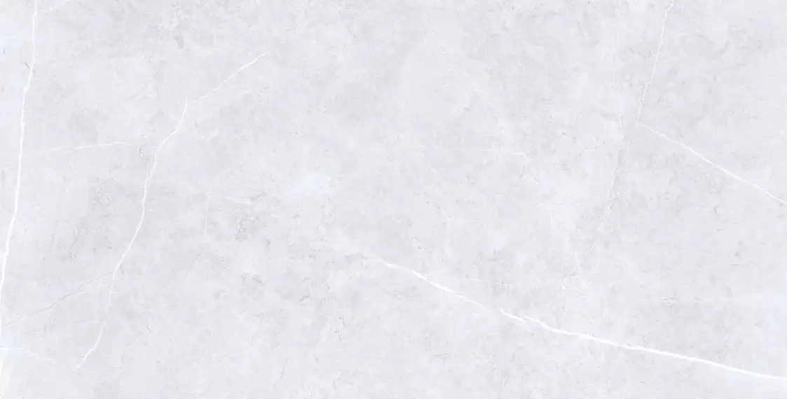 Swindon Grey Polished 60х120 