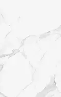 00-00-5-09-00-01-2625 Плитка Purity белый 25х40