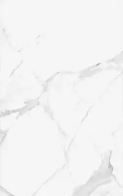 00-00-5-09-00-01-2625 Плитка Purity белый 25х40