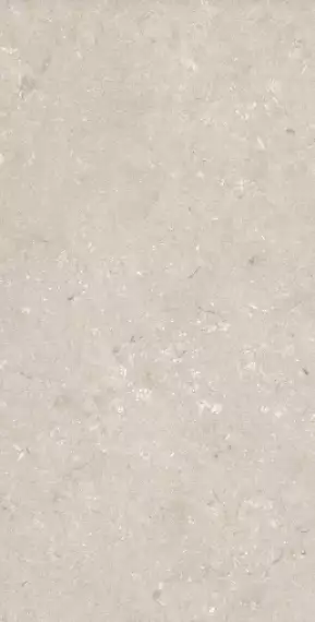 005486 Керамогранит Shellstone Beige 60x120