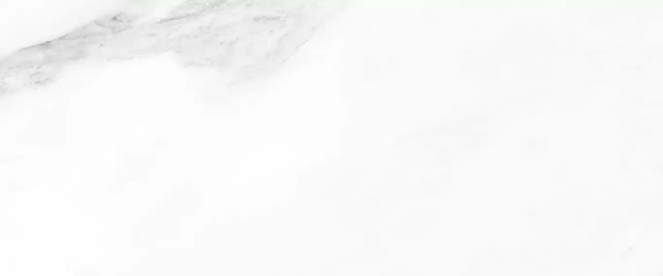 010100001312 Плитка Sputnik white 01 250х600