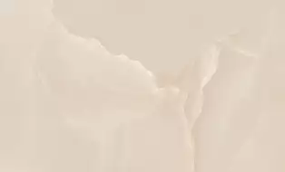 010100001411 Плитка Donna beige wall 04 30x50