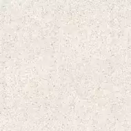 100310881 Treviso Blanco 8mm 120x120
