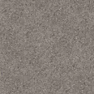 100310882 Treviso Gris 8mm 120x120