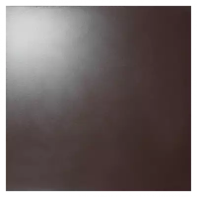 10GCRР 0011 светло-коричневый полированный 60x60