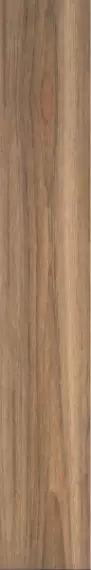 1416 BROWN JENIUS 20x120