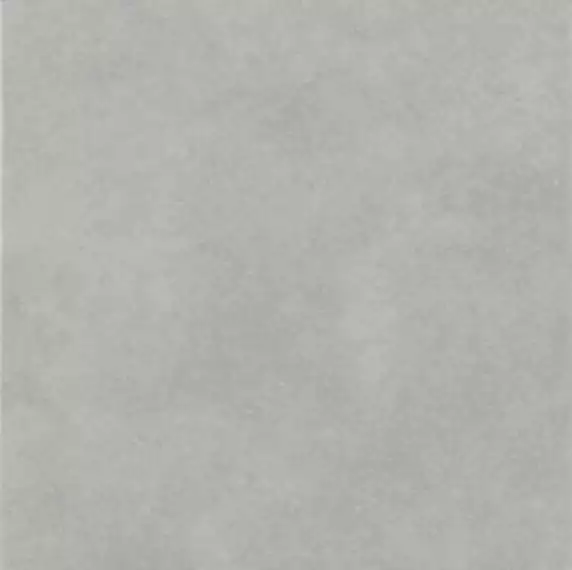 15.826.002.0497 ART GRIS 22,3*22,3